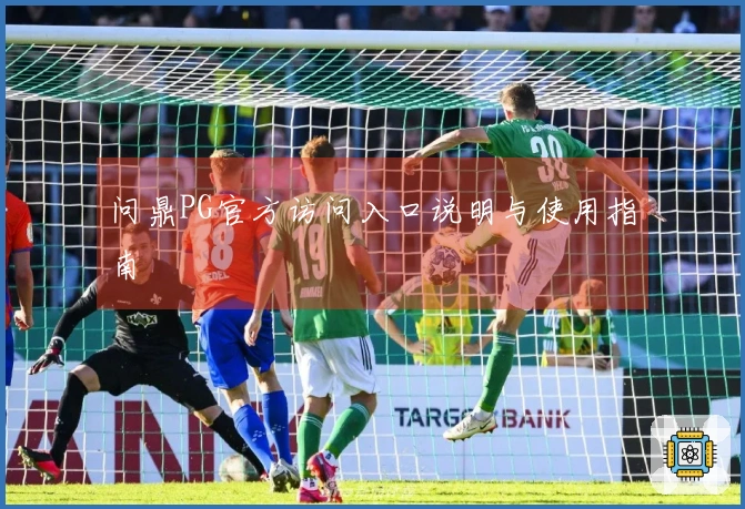 问鼎PG官方访问入口说明与使用指南