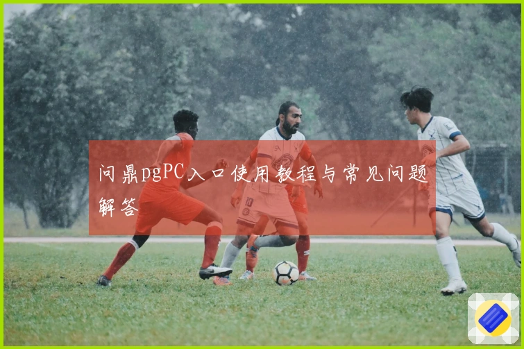 问鼎pgPC入口使用教程与常见问题解答