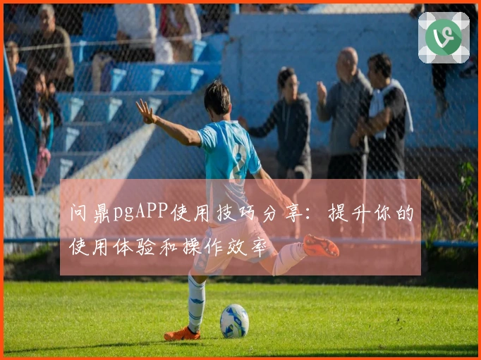 问鼎pgAPP使用技巧分享：提升你的使用体验和操作效率